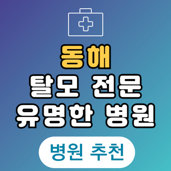동해 탈모 전문 병원 두피 탈모관리 잘하는 곳 추천 List