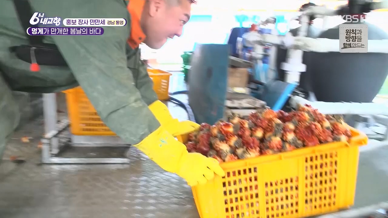 6시 내고향.E7779.230503p.H264-F1RST.mp4_20230505_183310.387.jpg