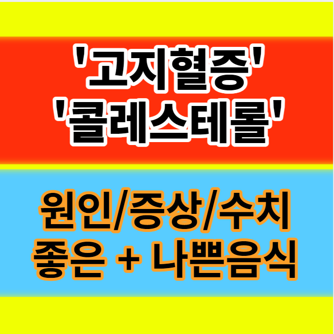  고지혈증 콜레스테롤 원인 증상 수치 좋은 음식 나쁜 음식 10가지 정보
