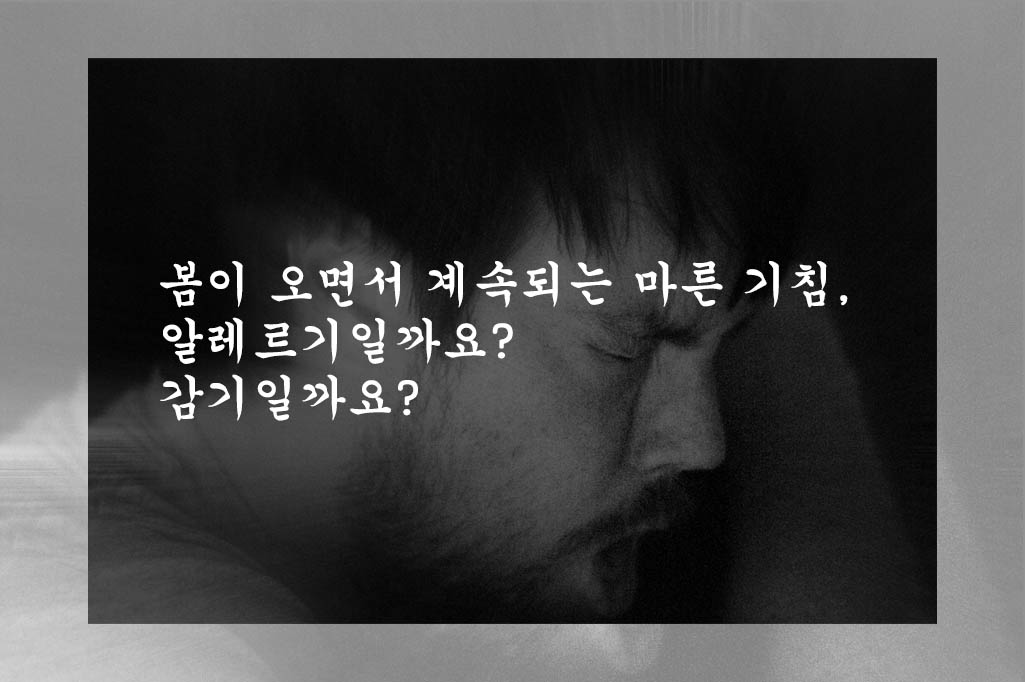  봄이 오면서 계속되는 마른 기침, 알레르기일까요? 감기일까요?