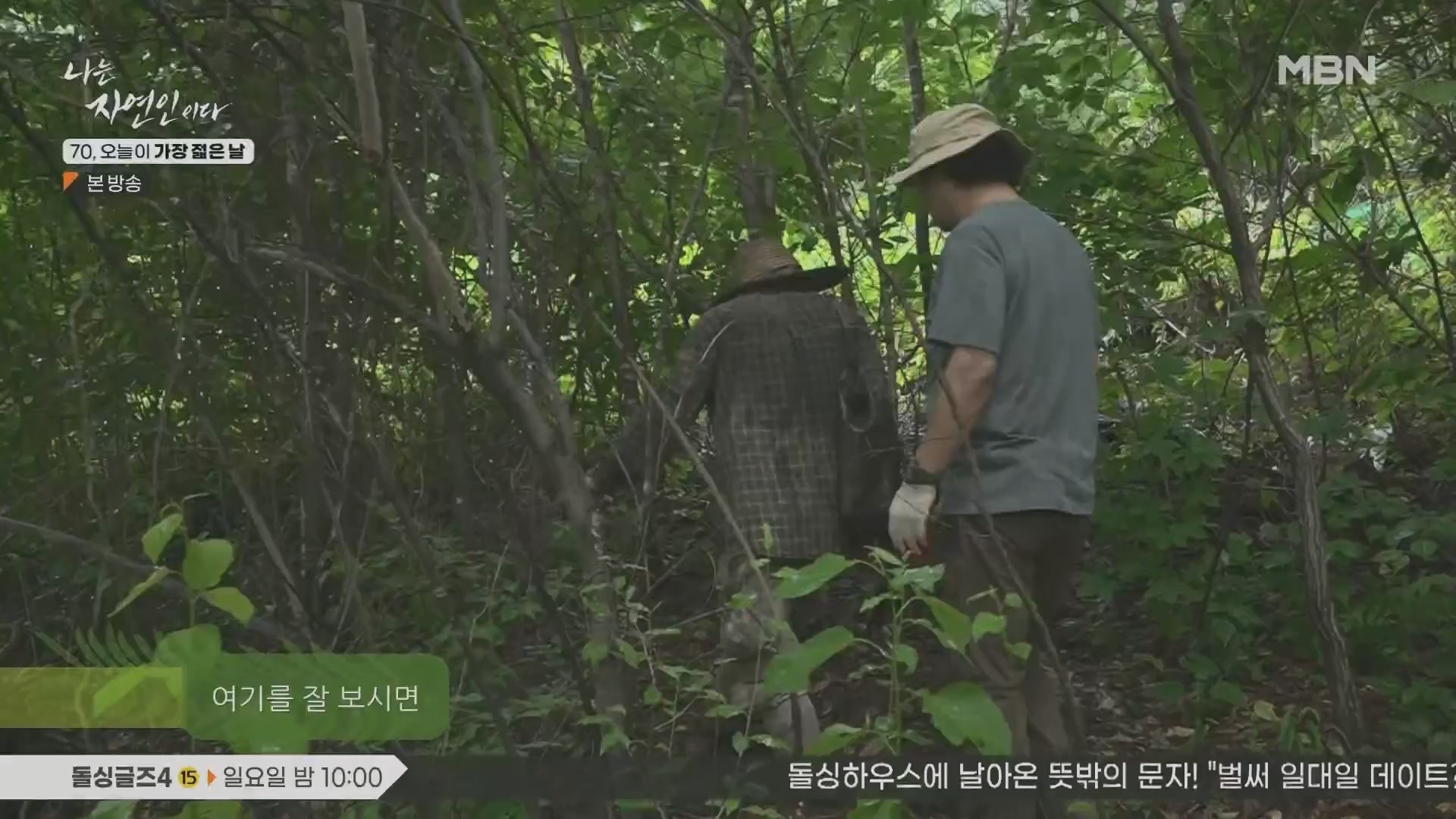 나는 자연인이다.E565.230802p.H264-F1RST.mp4_20230803_203403.115.jpg