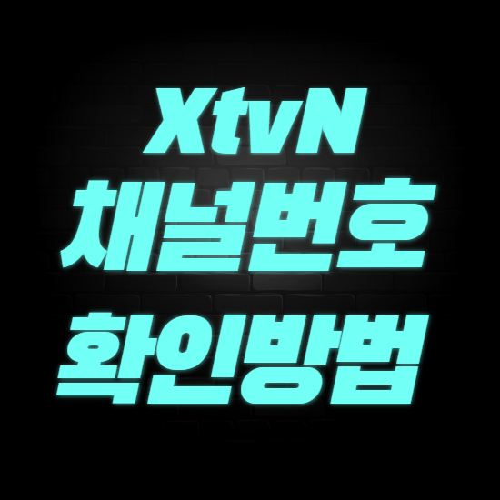  XtvN 채널번호 편성표 바로가기