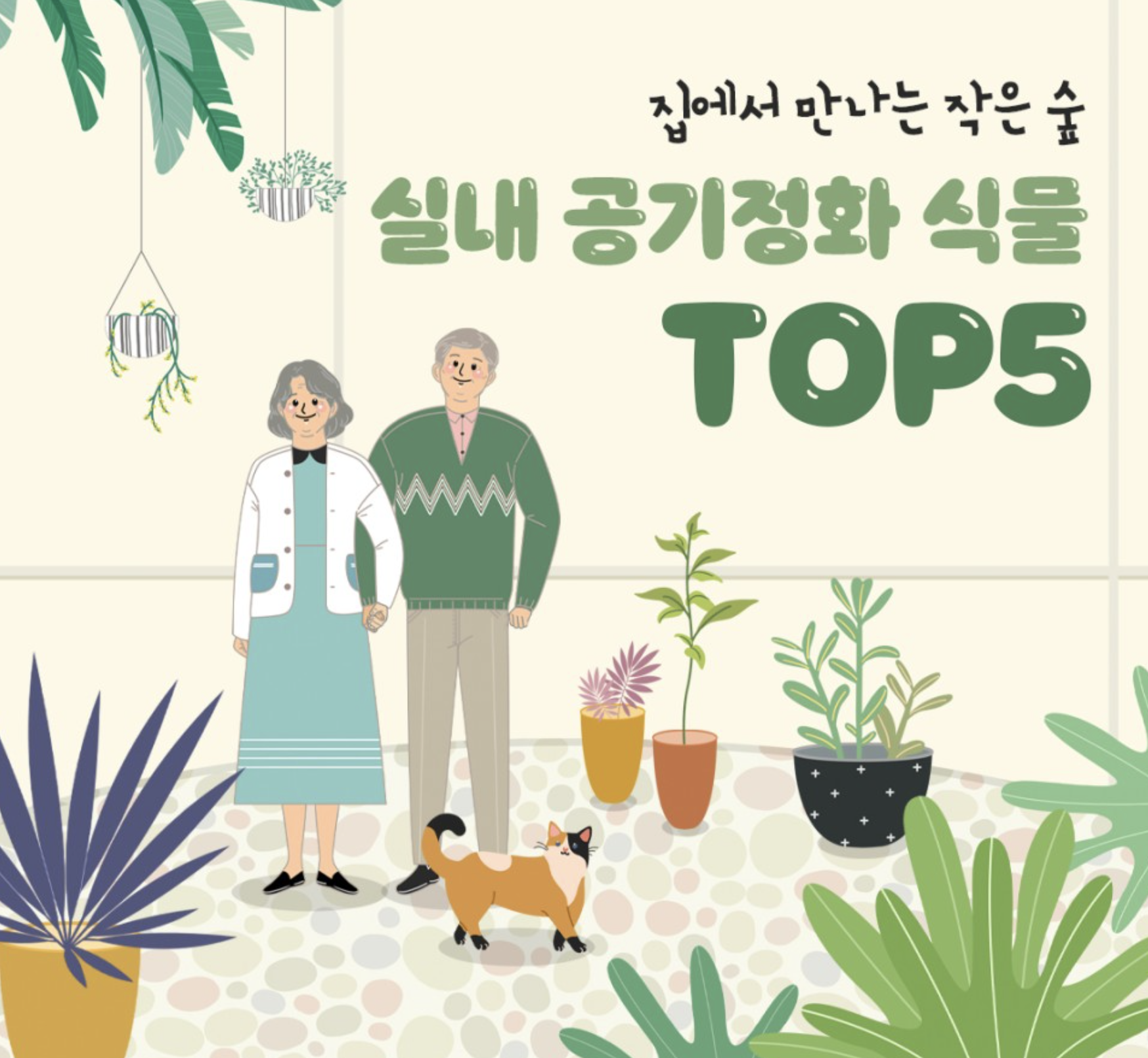  실내 공기정화 식물 TOP 5