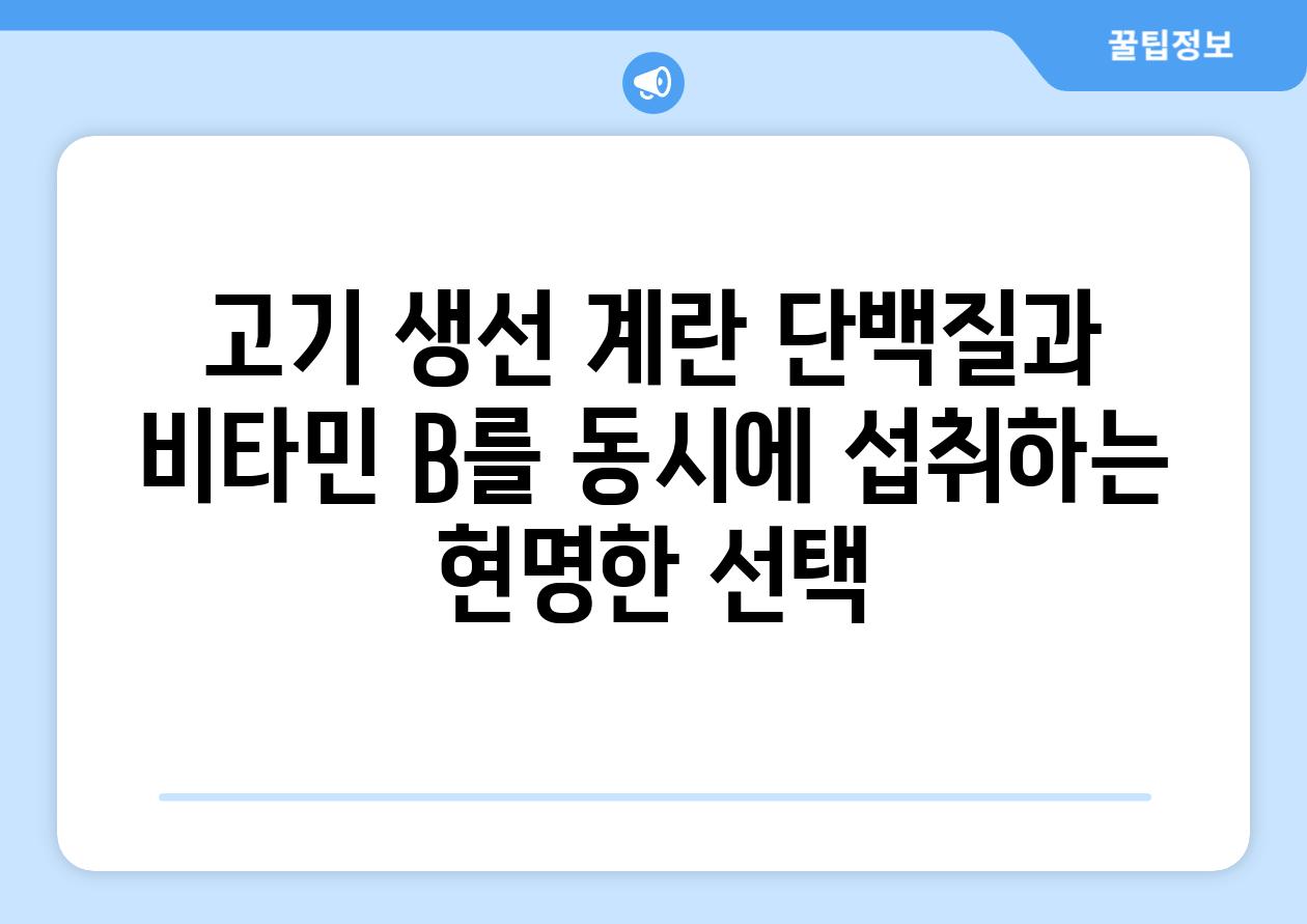 고기 생선 계란 단백질과 비타민 B를 동시에 섭취하는 현명한 선택