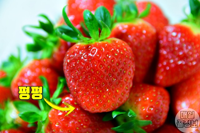 맛있는 딸기 고르는법 5,앞이 평평한 딸기,팁줌 매일꿀정보