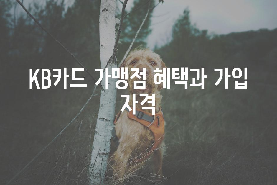 KB카드 가맹점 혜택과 가입 자격