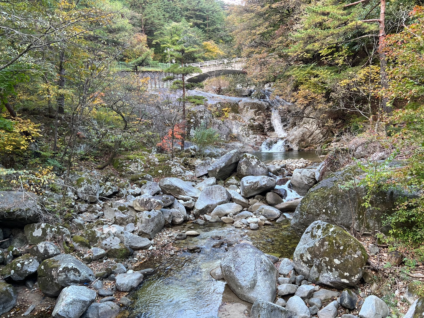 민수랜드-대관령자연휴양림 계곡