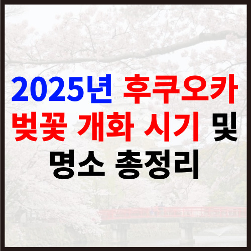 2025년 후쿠오카 벚꽃 개화 시기 및 명소 총정리