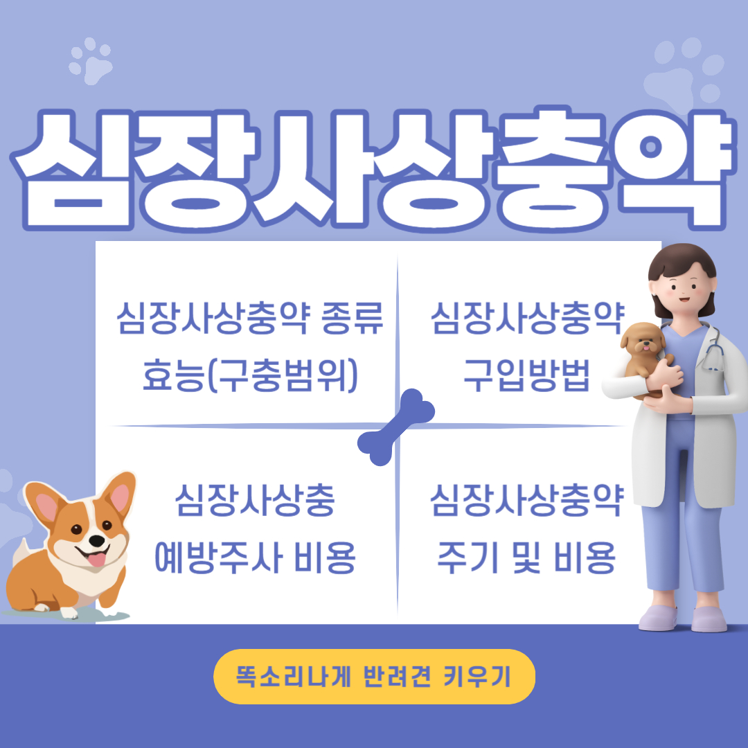 심장사상충약 종류 구충범위 비용 주기