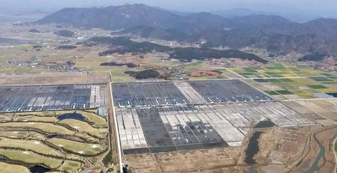  태양광 막은 고창 염전에 친환경 '고창 종합 테마파크' 조성