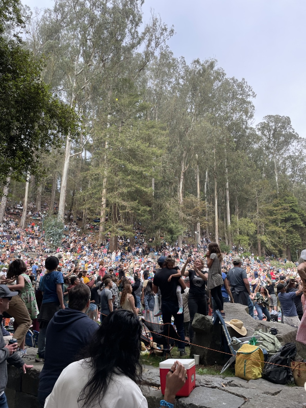 stern grove festival