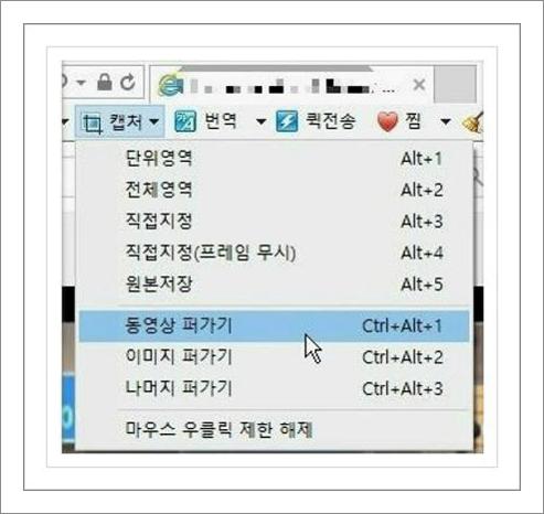 인터넷 동영상 다운로드