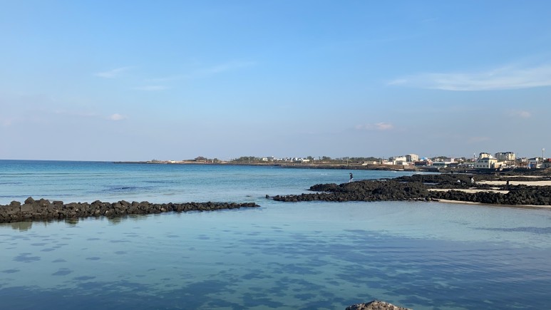 제주도 2박3일 #제주도여행 #겨울제주도 #친구랑제주도 25