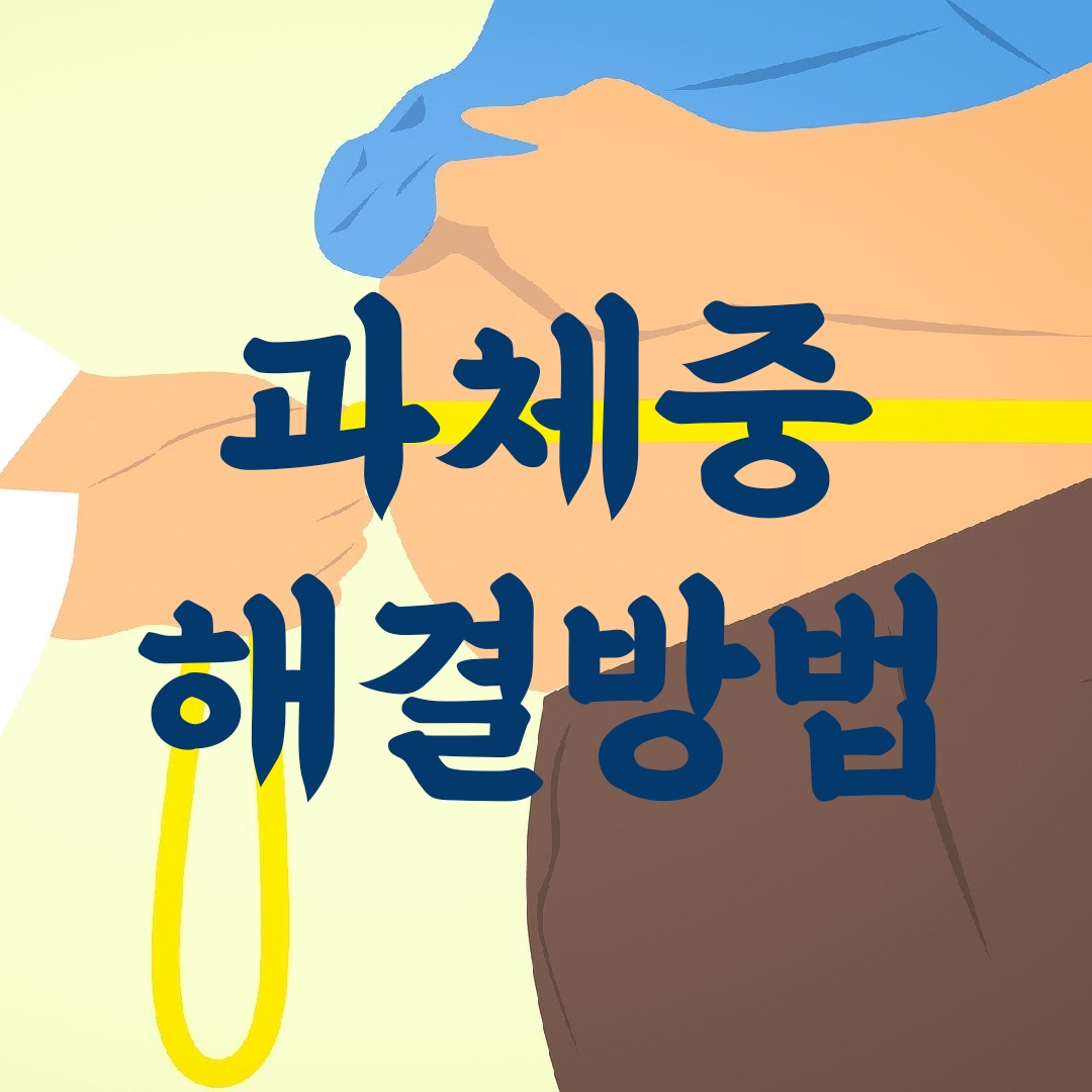  당신만 하지 않는 의외로 쉬운 비만 해결방법 2가지 원칙