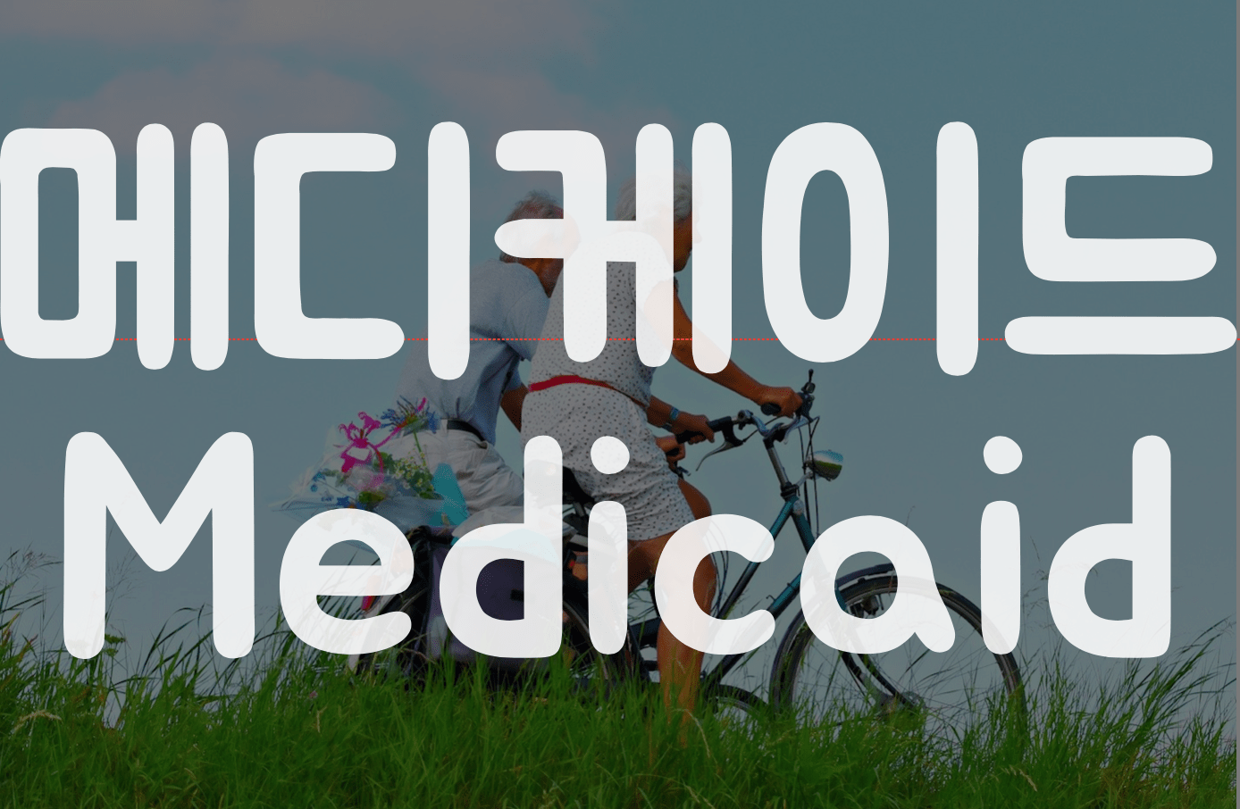 메디케이드 medicaid