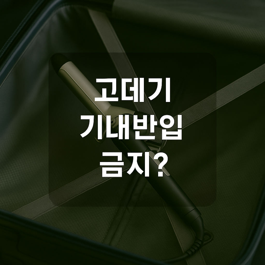 고데기 기내반입