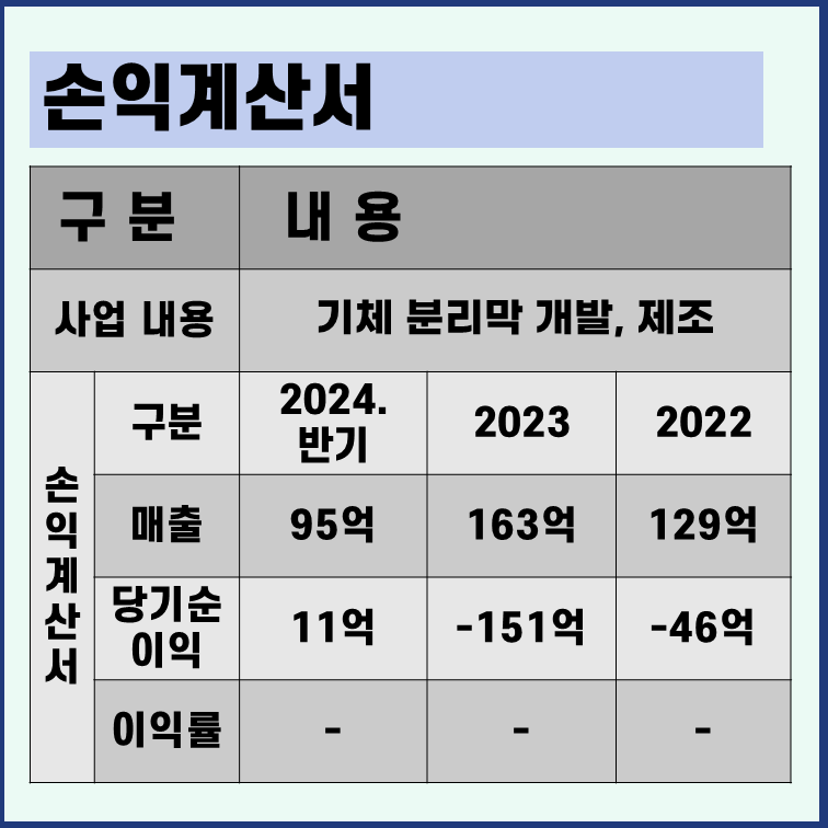 에어레인 손익계산서