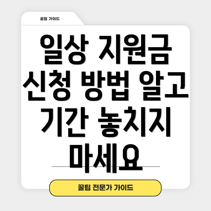 전국민 일상 지원금