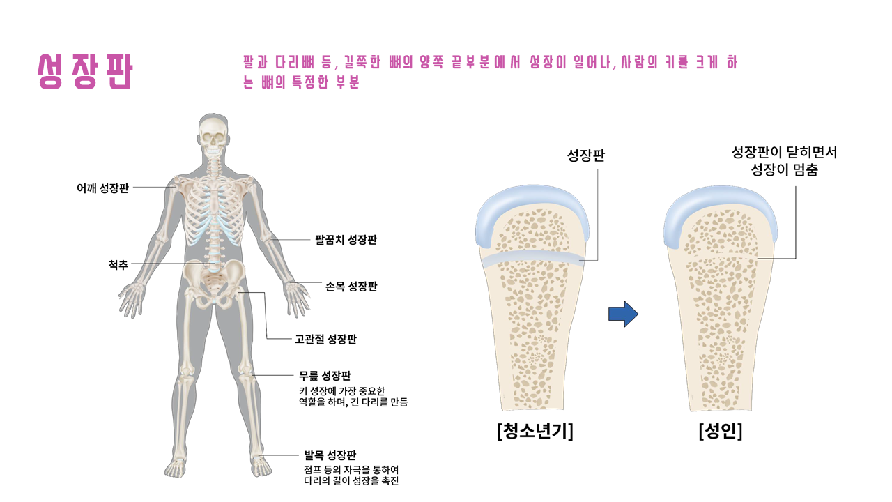 이진복한의원 성장클리닉