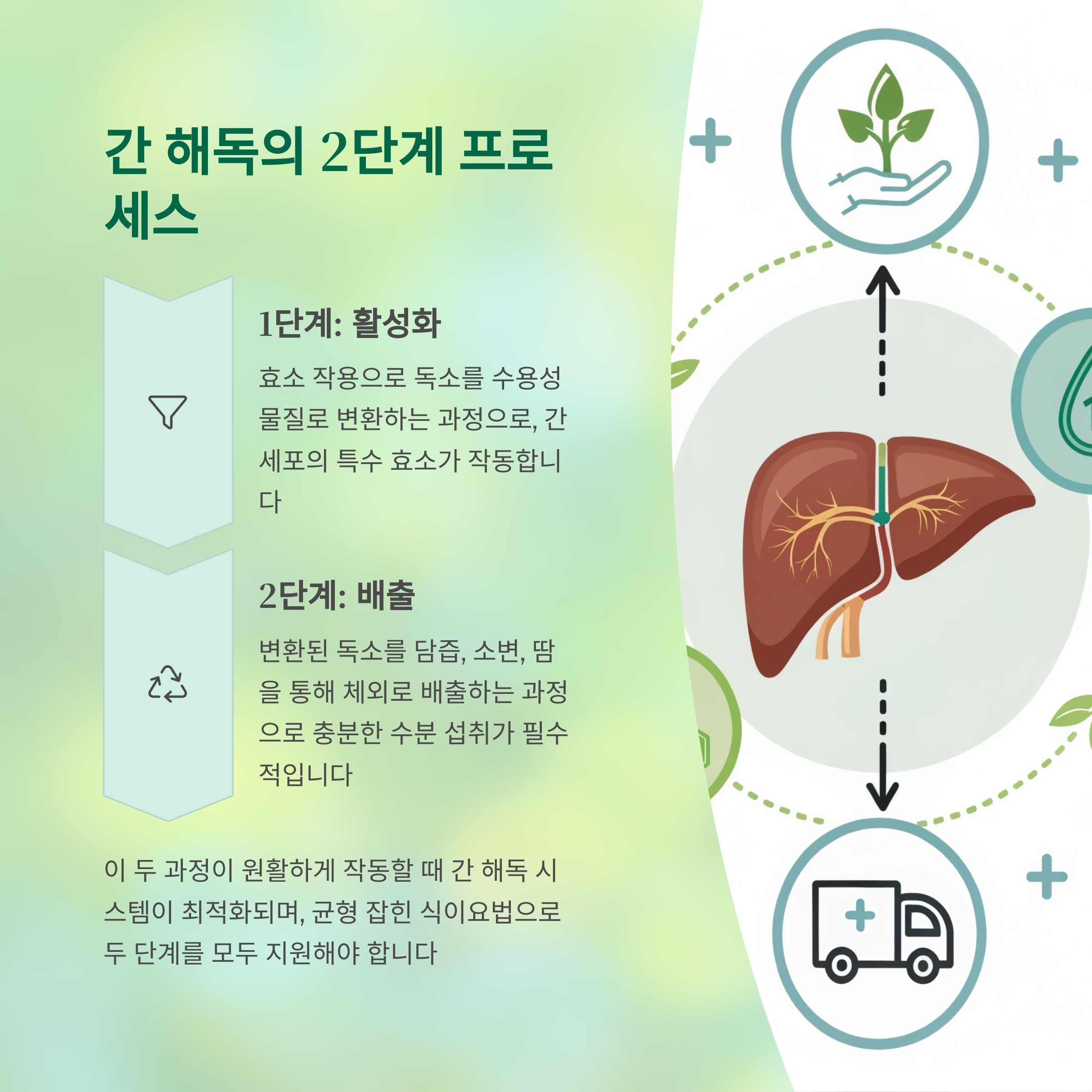 간 해독 효과를 200% 끌어올리는 음식 조합법, 이 조합이 해답입니다 - 어떤 음식을 어떻게 먹느냐에 따라 간 기능은 완전히 달라집니다 - 간 해독을 도와주는 핵심 원리 간 해독 효과를 200% 끌어올리는 음식 조합법, 이 조합이 해답입니다 - 어떤 음식을 어떻게 먹느냐에 따라 간 기능은 완전히 달라집니다 - 간 해독을 도와주는 핵심 원리