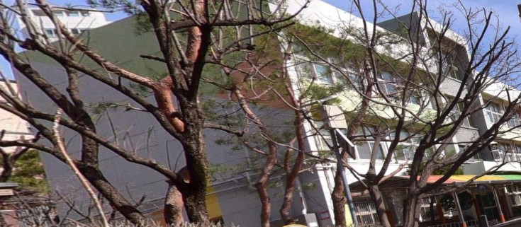 서울북성초등학교 사진