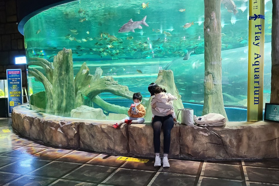 부천 아쿠아리움 부천 아쿠아리움먹이주기 체험 14