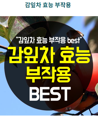  감잎차 효능 좋다좋아