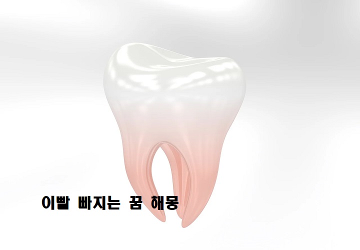 치아-한개-사진