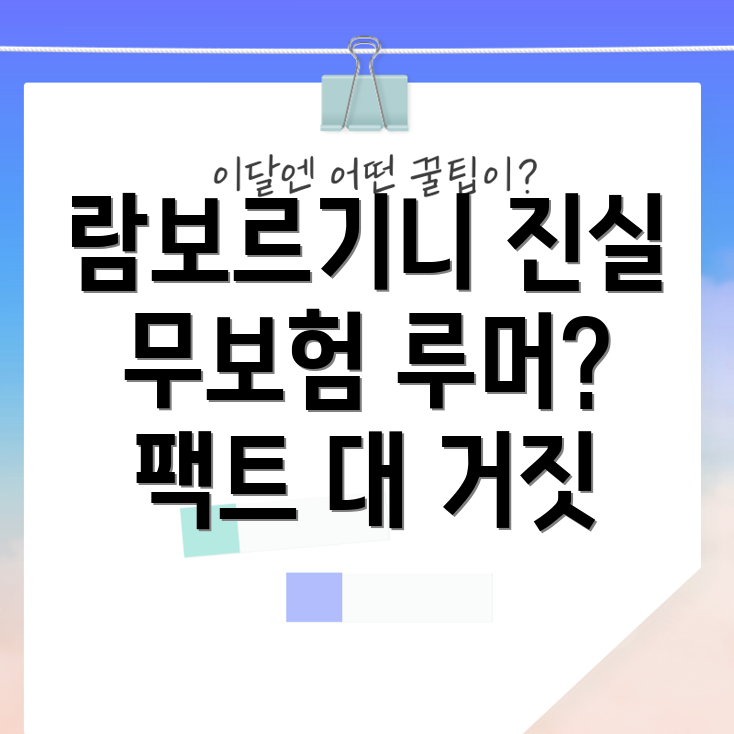 람보르기니 무보험 루머