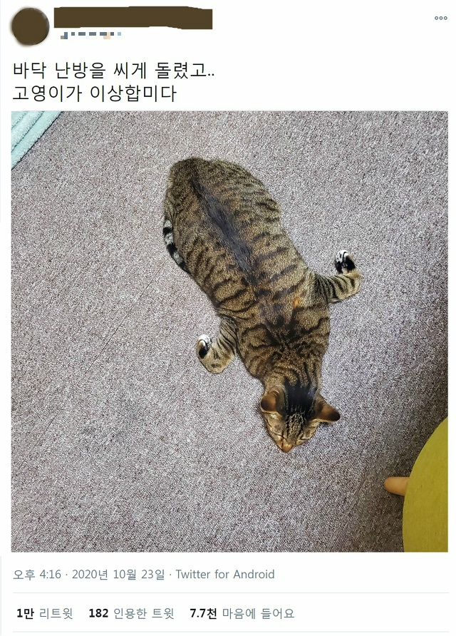  추워서 보일러를 돌렸는데 고영희가 이상해요