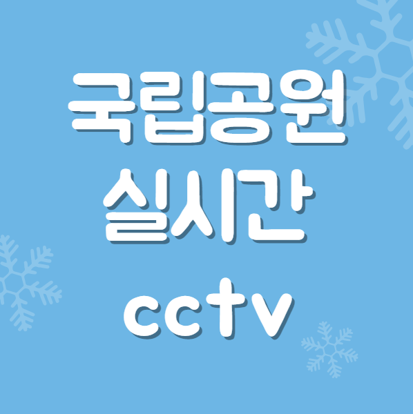  국립공원 실시간 cctv 모바일