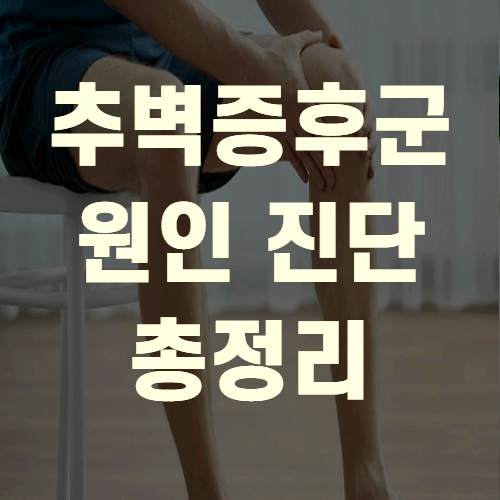  추벽증후군 원인 증상 예방 치료(+꼼꼼정리)