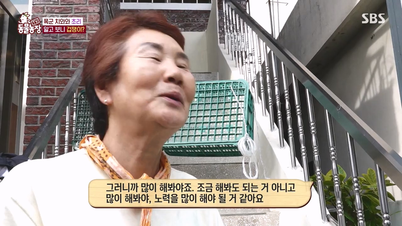 TV 동물농장.E1144.231106p-NEXT.mp4_20231105_175942.341.jpg