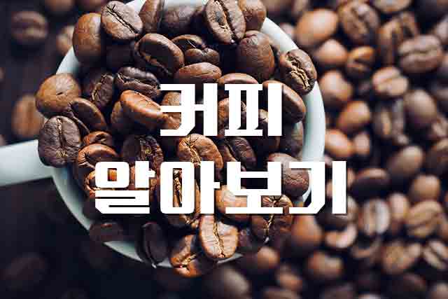  커피, 향기로운 에너지 커피 제대로 알기