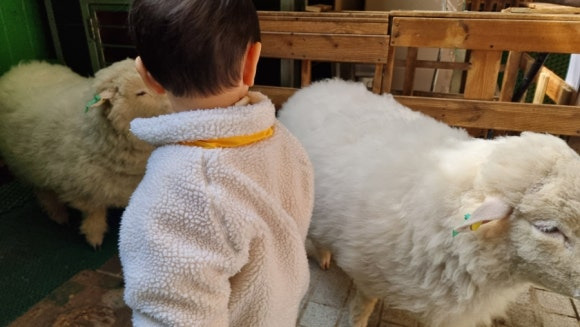 도심 속 양카페, 땡스네이쳐카페 방문기3
