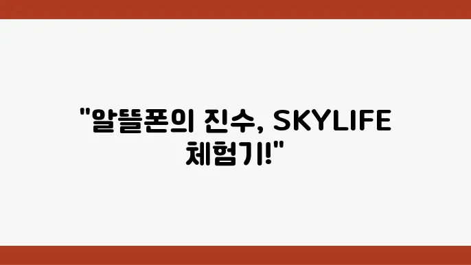 저렴한 알뜰폰 요금제 전경: SKYLIFE의 커플기통 후기