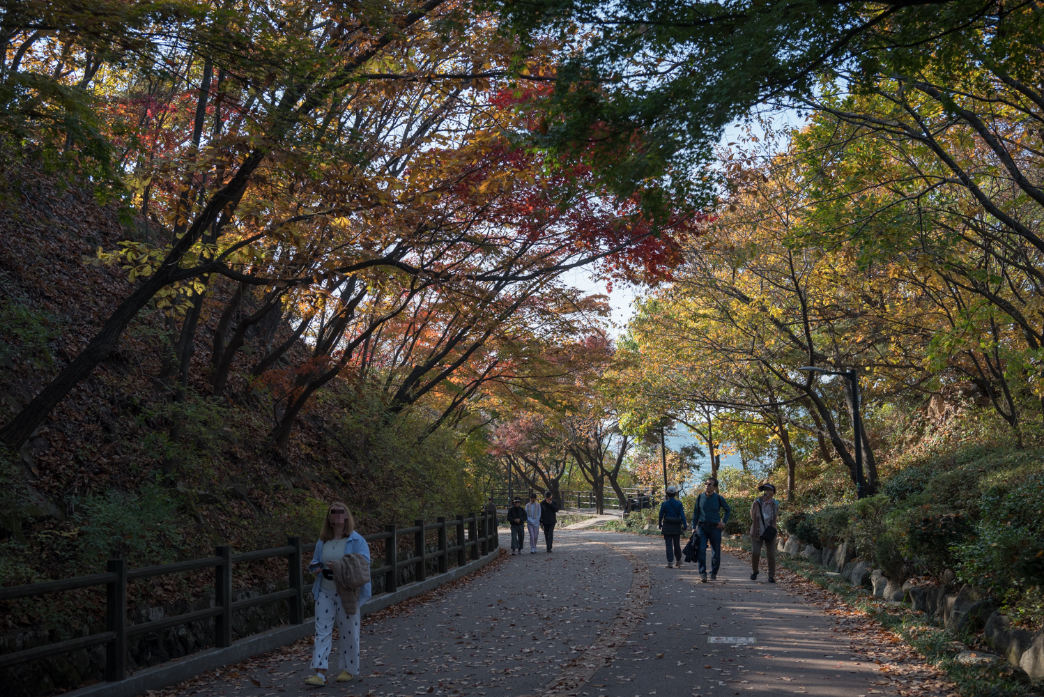 서울단풍명소 남산둘레길