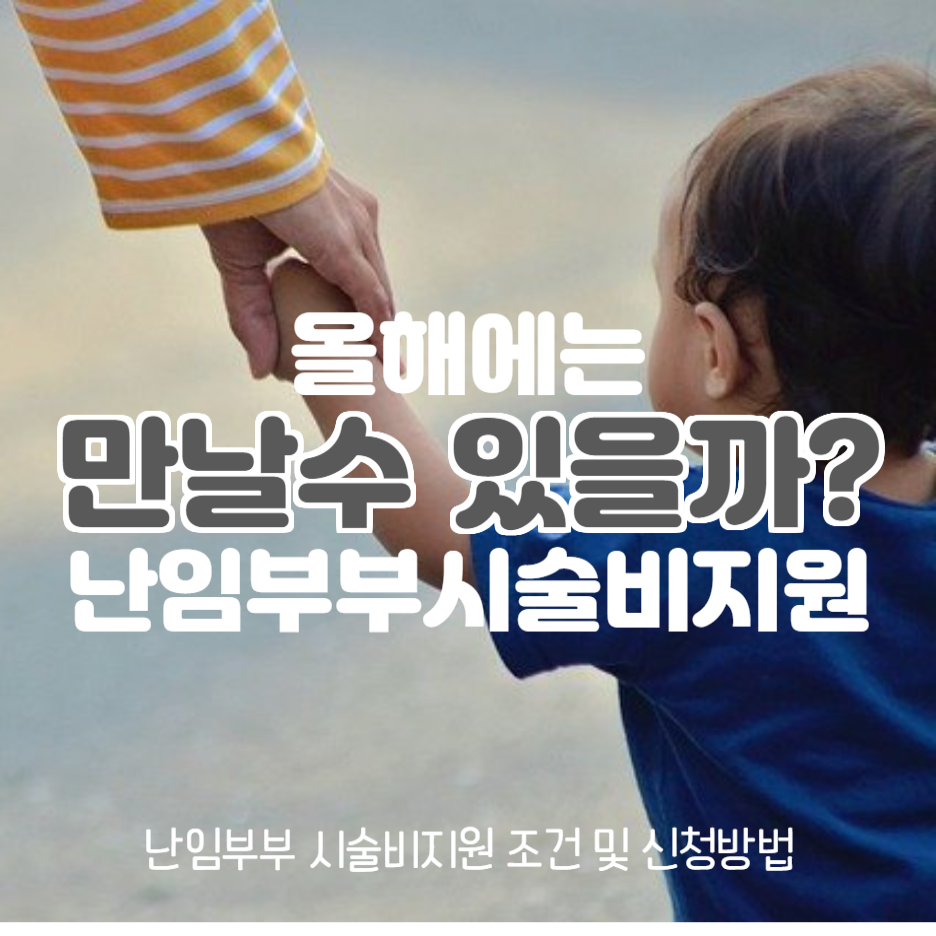  올해에는 만날수 있을까? 난임부부 시술비지원 대상자 및 방법