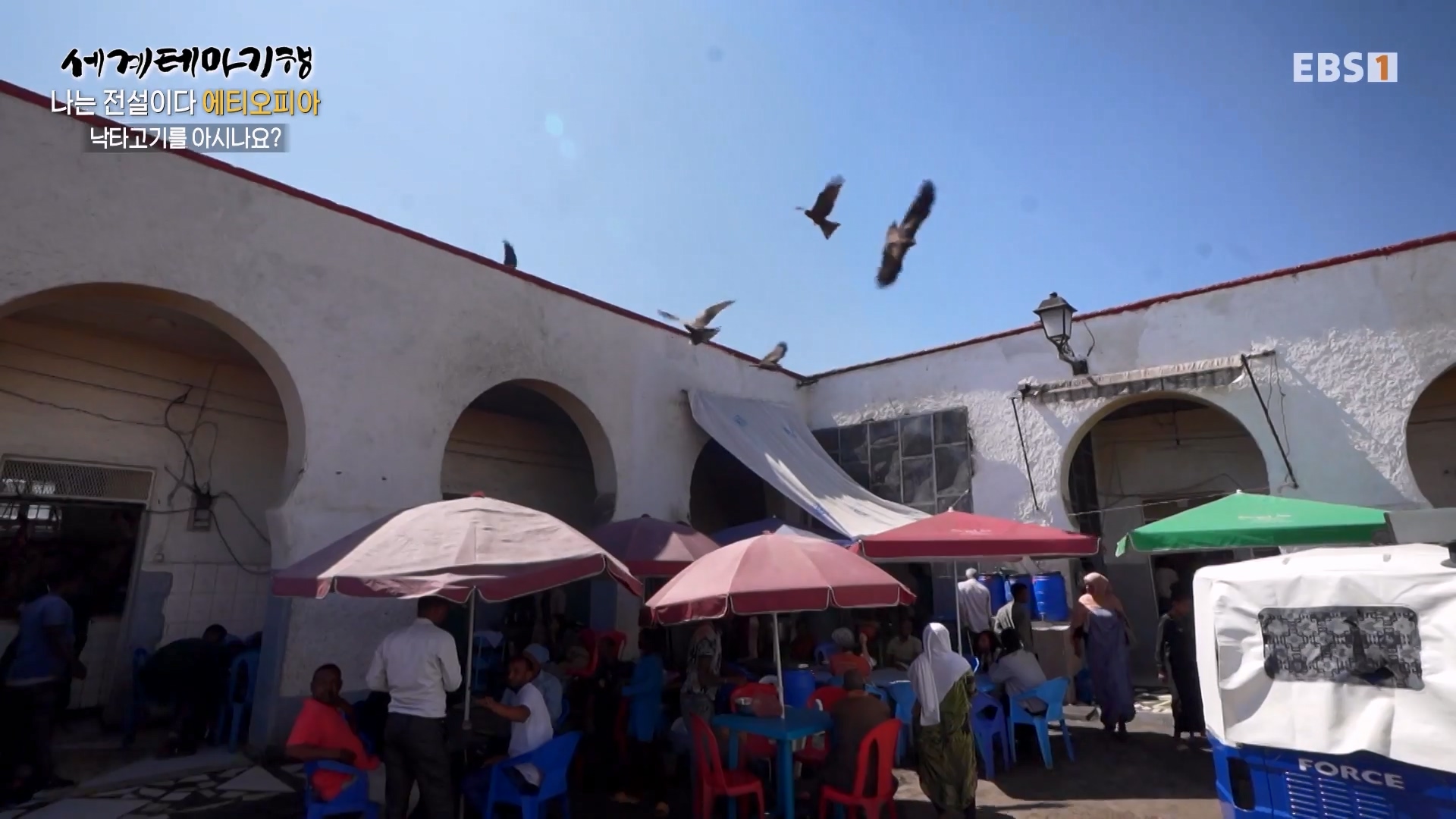 세계테마기행 240116 나는 전설이다 에티오피아 -골목의 전설, 하라르0p.mp4_20240713_174147.045.jpg