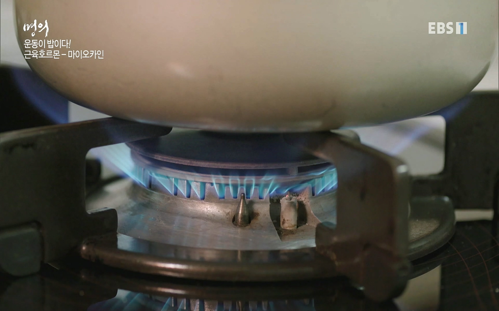 EBS 명의 헬스케어 - TV - 교육의 중심 EBS내 몸을 지배하는 7가지 호르몬 3부, 운동이 밥이다! .mp4_20220711_202508.821.jpg