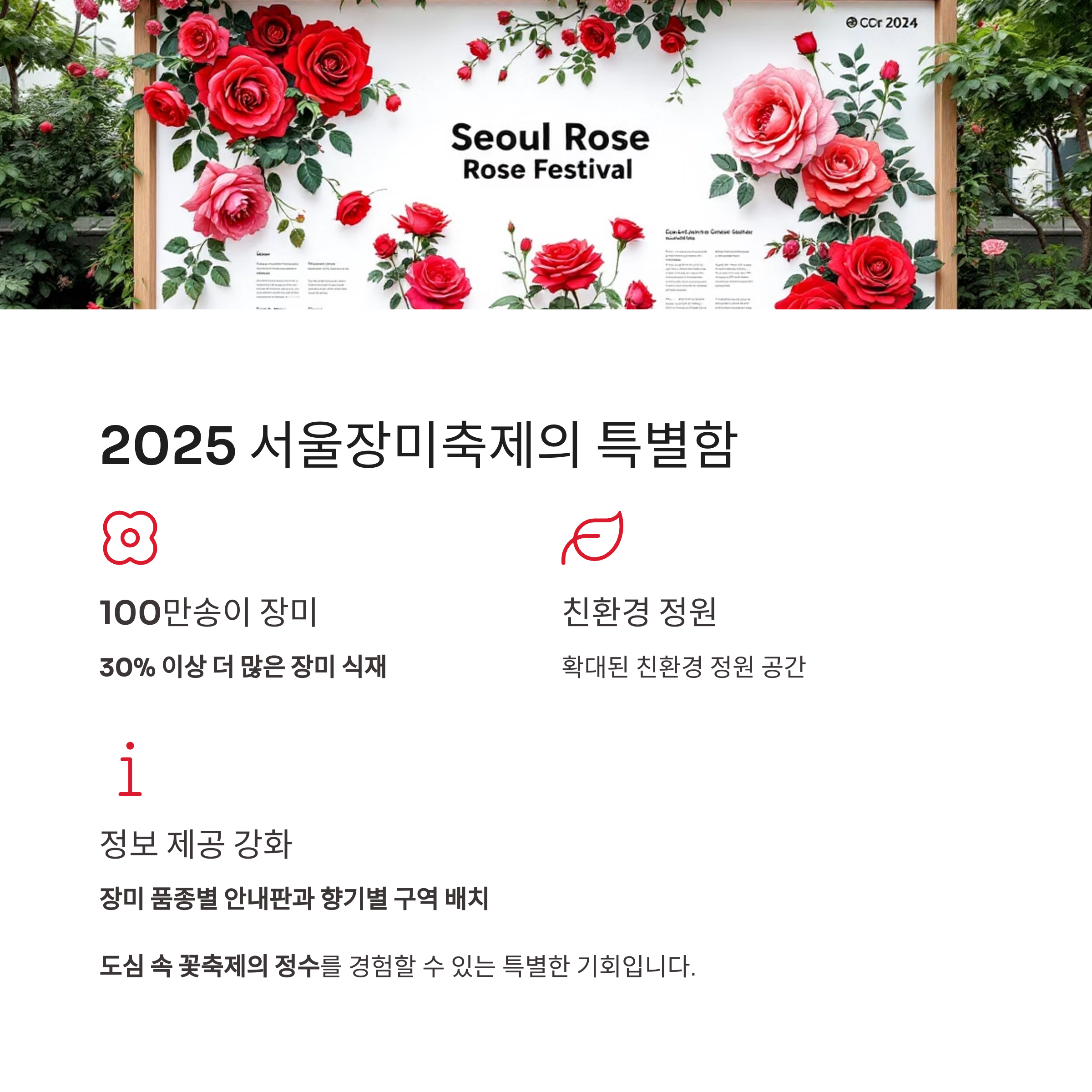 2025 서울장미축제, 중랑천을 붉게 물들인 9일간의 꽃 대향연