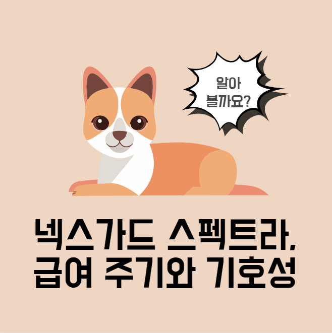 넥스가드 스펙트라
