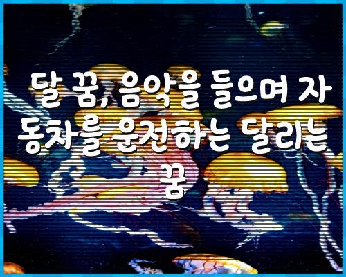 달 꿈, 음악을 들으며 자동차를 1