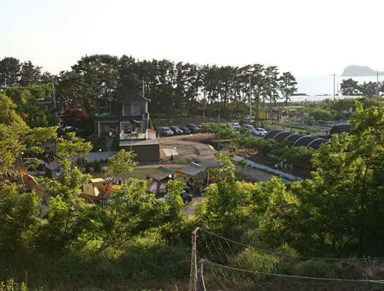 고래숲