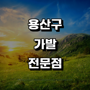 서울 용산구 가발