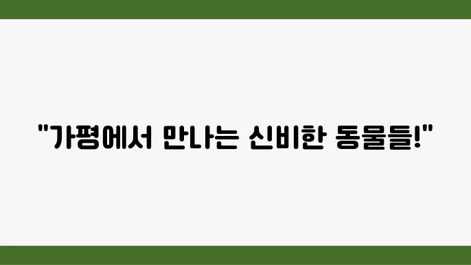 가평 신비동물원 자연 체험