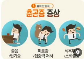 봄철 춘곤증 왜 이렇게 피곤할까 피로감 극복하는 꿀팁