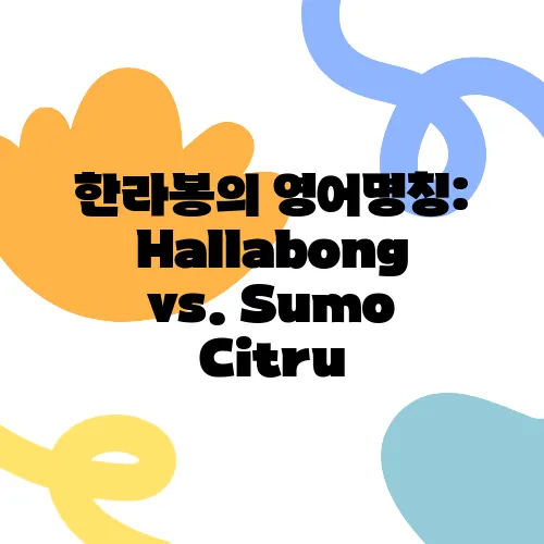 한라봉의 영어명칭: Hallabong vs. Sumo Citru