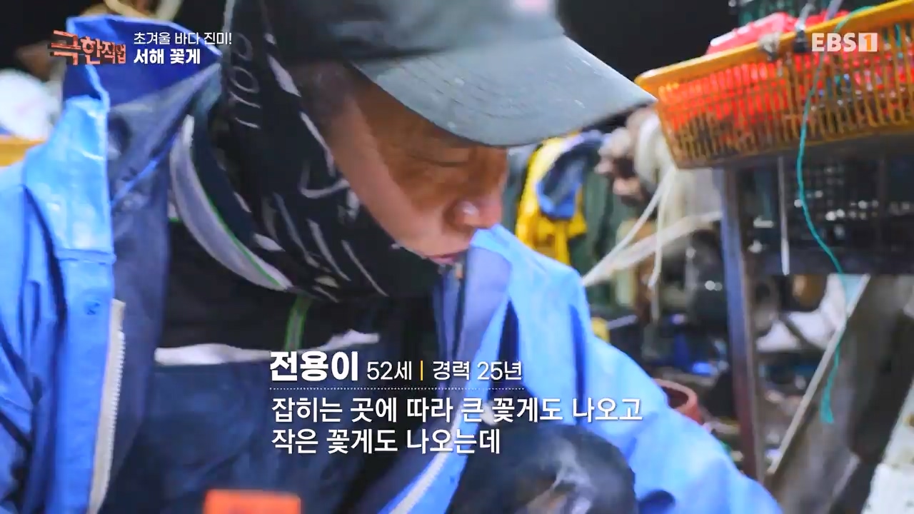 TV - 전 국민의 평생학교 EBS초겨울 바다 진미! 동해 방어, 서해 꽃게.mp4_20231228_204342.601.jpg