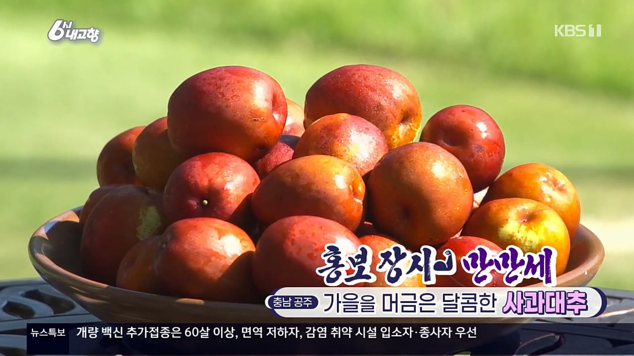 6시 내고향.E7640.221019p.H264-F1RST.mp4_20221020_164845.219.jpg